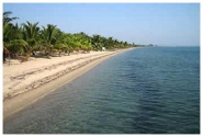 belize beach front property ID 100