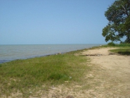 belize beach front property ID 356