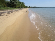 belize beach front property ID 356