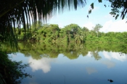 belize river front property ID 356