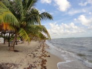 belize beach front property ID 330